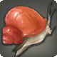 Feuerschnecke