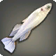 Invertierter Wei&szlig;fisch