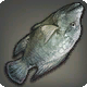 Invertierte Tilapia