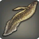 Invertierter Lungenfisch