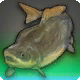 Tunnel-Sauger