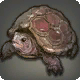 Pseudo-Schildkr&ouml;te