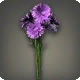 Violette Kornblumen