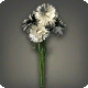 Wei&szlig;e Kornblumen