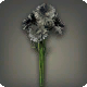 Schwarze Kornblumen
