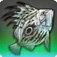 Darpana-Fisch