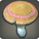 Pfl&uuml;g-Pileus