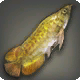 Pseudo-Arowana
