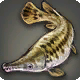 Schwimmender Entgraser