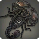 Schwarzer Skorpion
