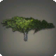 W&uuml;steneisenholz-Baum