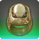 H&ouml;llenwolf-Ring des Zielens