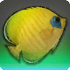 Goldflosse