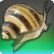 Knochenschlecker