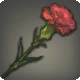 Azeyma-Rose
