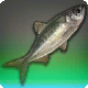 Dreckiger Herri
