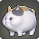 Dicke Katze