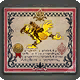 Renn-Chocobo-Registrierung VII (W)