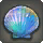 Muschelmeister