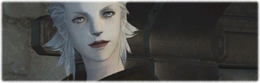 Das Bankett des Admirals