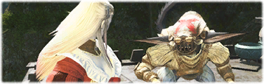 Die Sch&ouml;ne und der Kobold