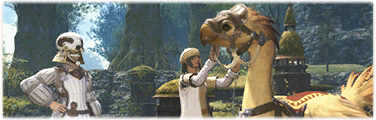 Der schlaflose Chocobo