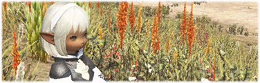 Miss&shy;ver&shy;st&auml;nd&shy;nis mit Folgen