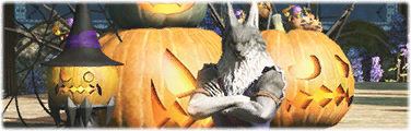 Ein weltoffener Wolf