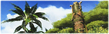 Des Vogels Paradies