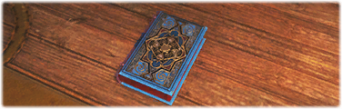 Ein Buch zum Eintauchen